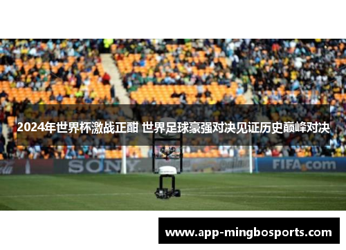 2024年世界杯激战正酣 世界足球豪强对决见证历史巅峰对决