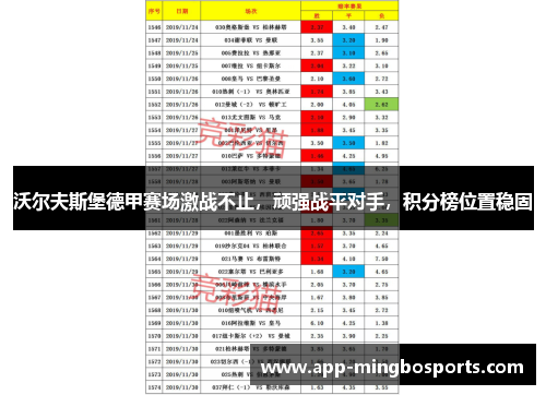 沃尔夫斯堡德甲赛场激战不止，顽强战平对手，积分榜位置稳固